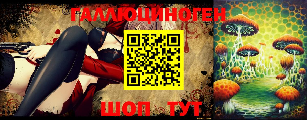 Галлюциногенные грибы GOLDEN TEACHER Новоалександровск