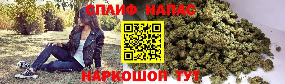 Конопля семена Новоалександровск